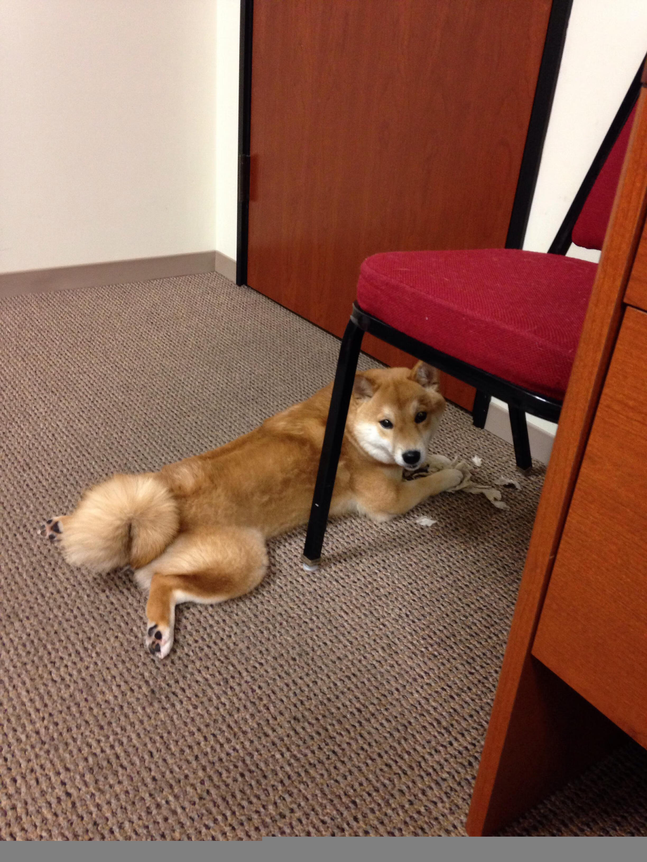 “英超冠军争夺战持续升温，战局扑朔迷离”，英超 冠军