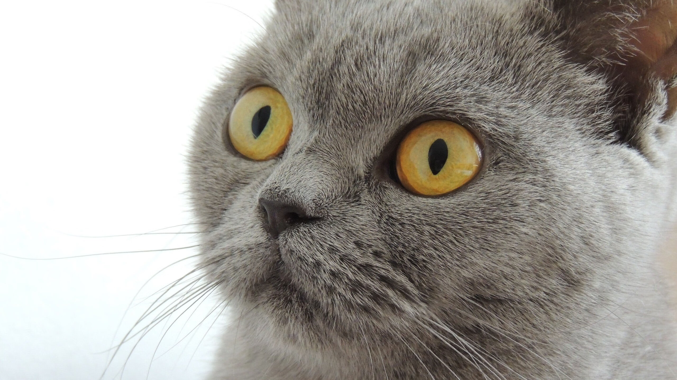 九游jiuyou-DOTA2赛事幕后揭秘：选手训练与团队协作，成功之路，dota2职业选手训练