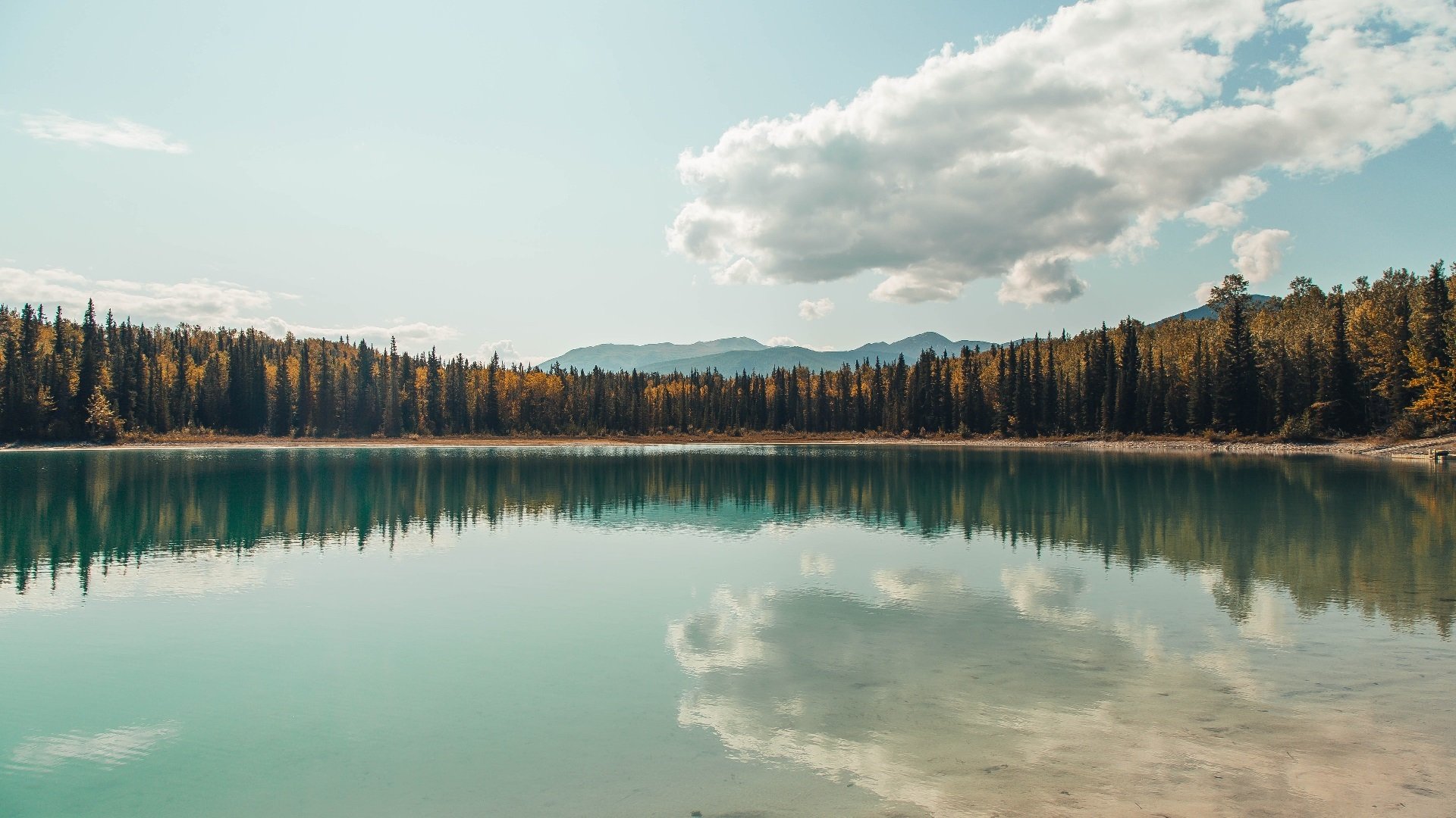 九游app下载中心-“法甲最后攻坚战：豪门拼抢冠军，悬念不断”，法甲的豪门
