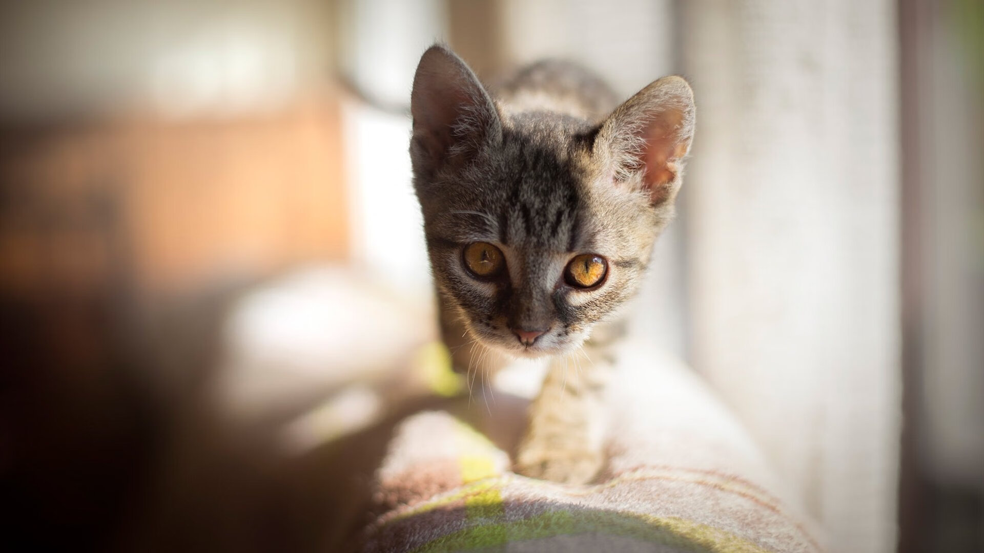 史上“最硬汉”防守：面对巨人队的双人包夹，依旧稳如泰山！